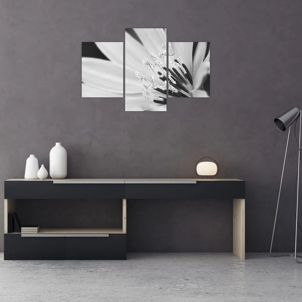 Obraz - Čiernobiely kvet (90x60 cm)