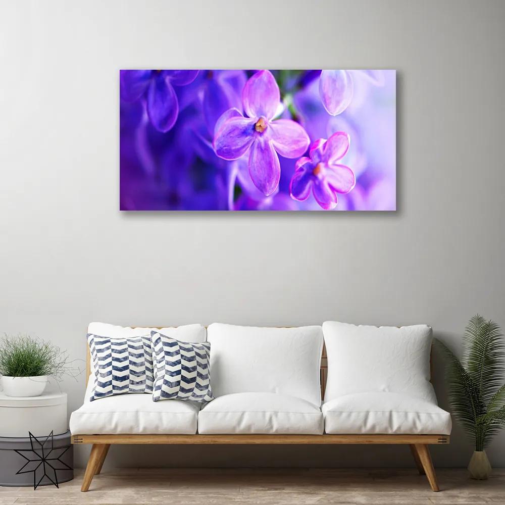 Obraz Canvas Fialové kvety príroda 120x60 cm