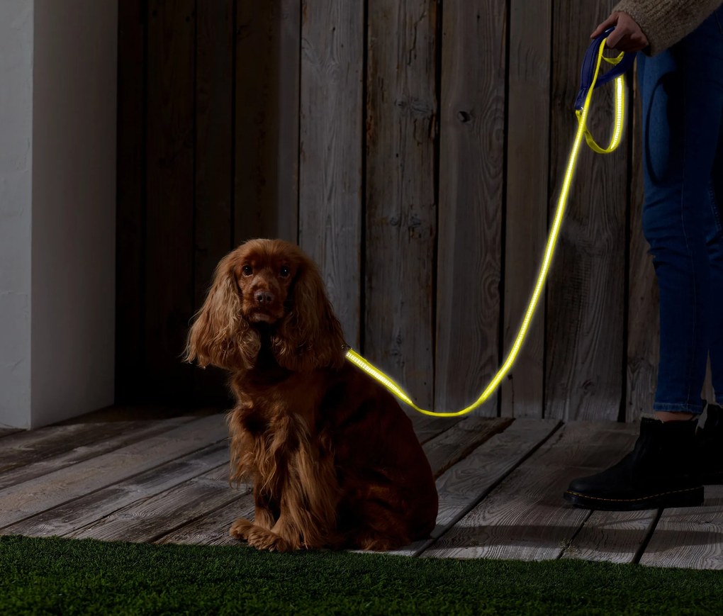 Vôdzka pre psy s reflexnými prvkami