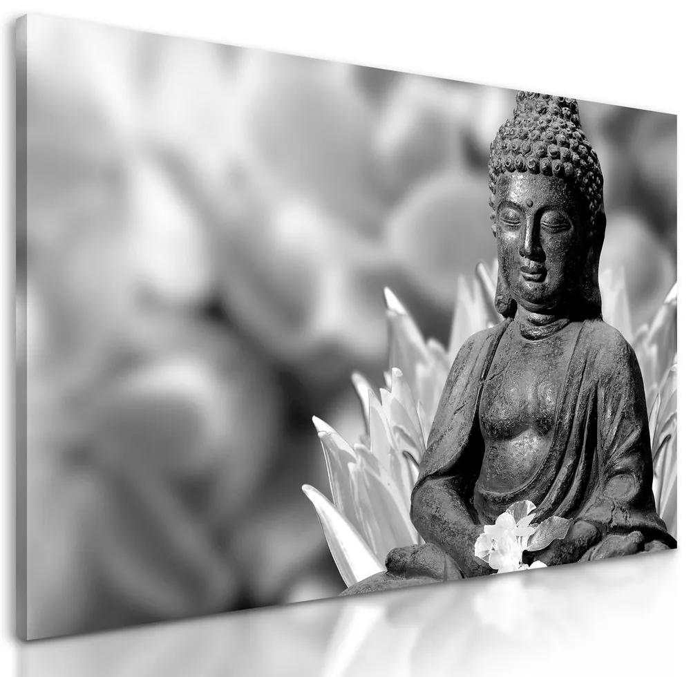 Obraz čiernobiely Budha meditujúci v kvetinovej záhrade