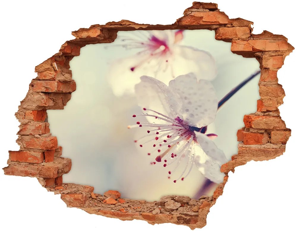 Samolepiaca diera nálepka Čerešňový kvet nd-c-102906126
