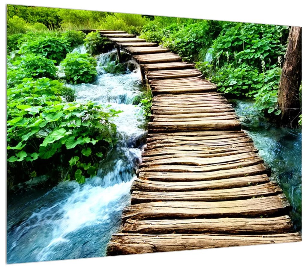 Obraz dreveného chodníčka cez rieku (70x50 cm)