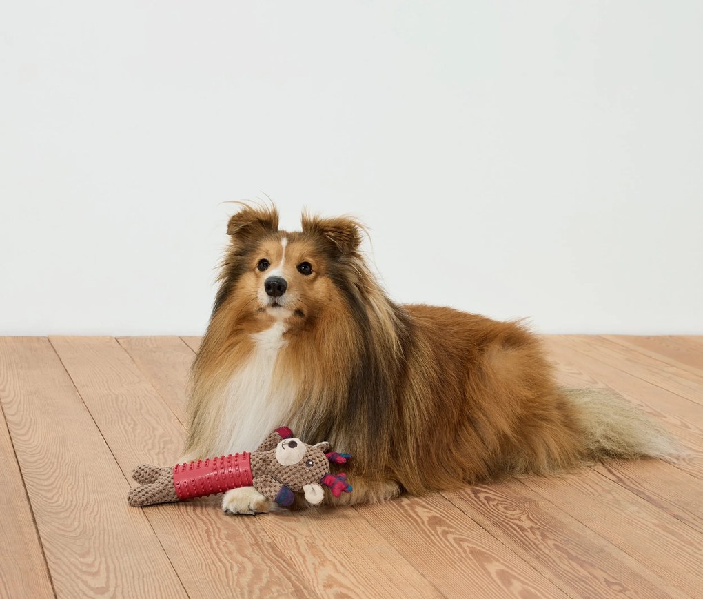 Plyšová hračka pre psy »Sob«