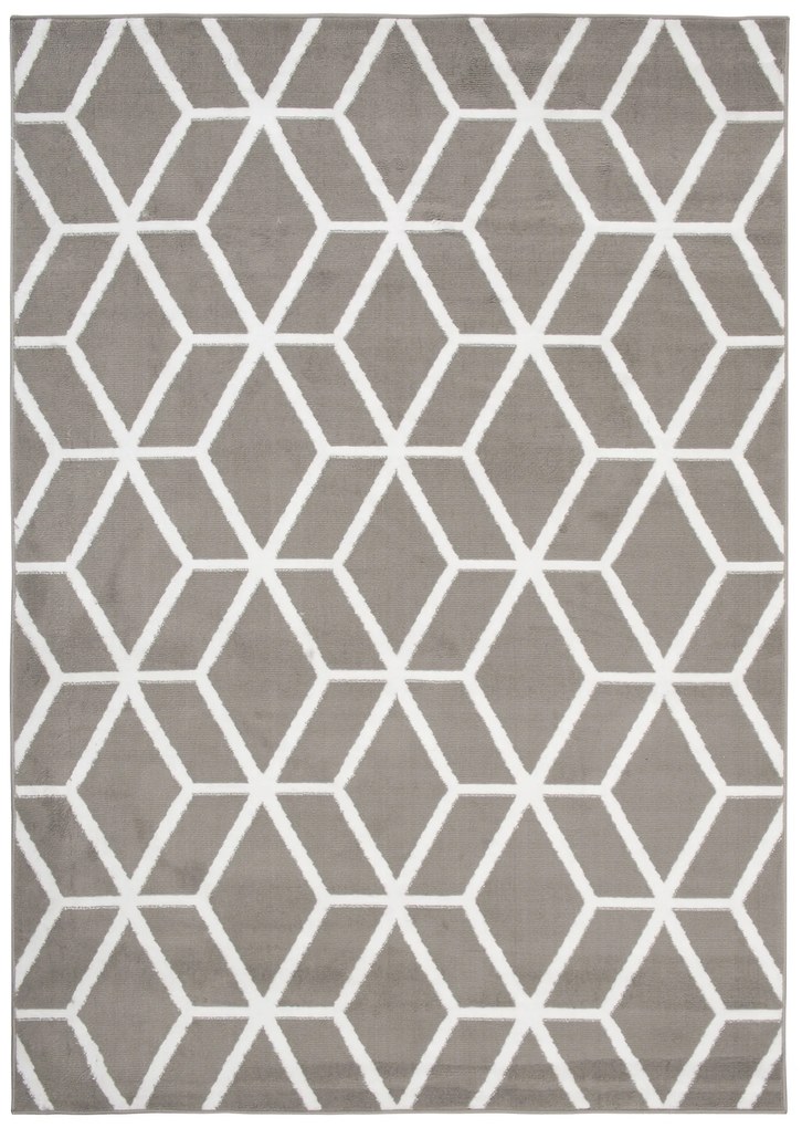 Koberec BALI PP C434A sivý Rozmery: 220x300