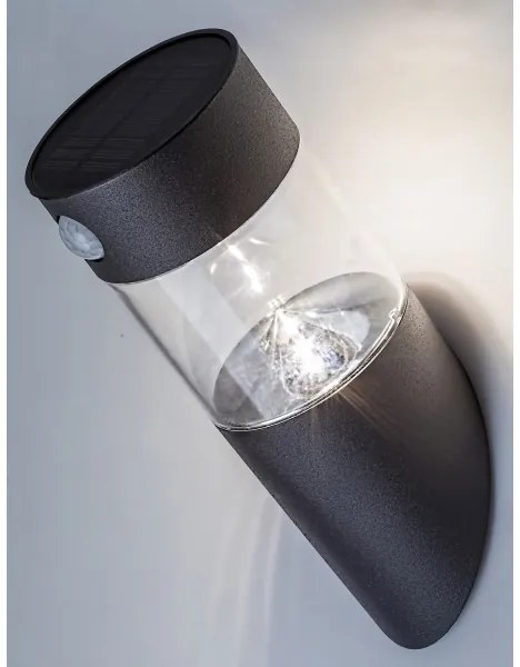 Rabalux 77015 - LED Solárne svietidlo so senzorom KAPUAS LED/1,5W/3,7V IP44