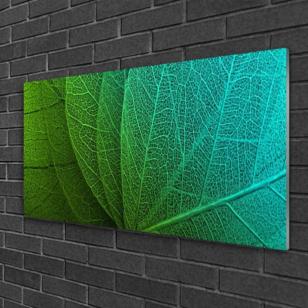 Obraz na skle Abstrakcie listy rastlina 125x50 cm