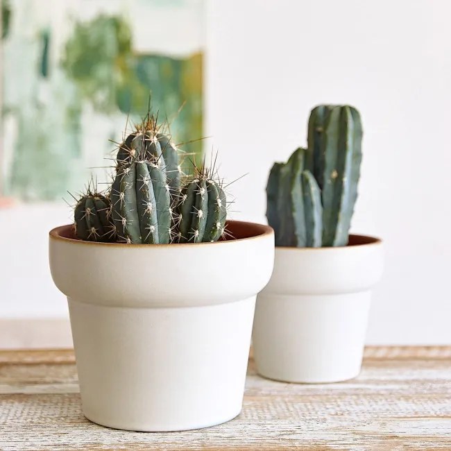 Kvetináč MAYA krémový 885384 - drobné poškodenie