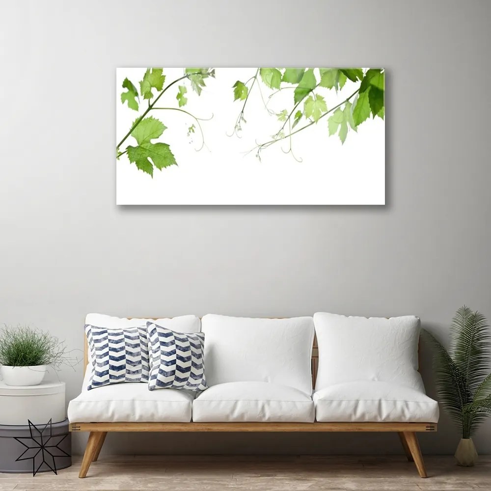 Skleneny obraz Vetvy listy príroda kvety 125x50 cm