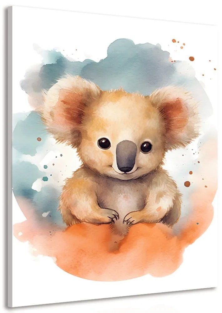 Obraz zasnená koala Varianta: 40x60