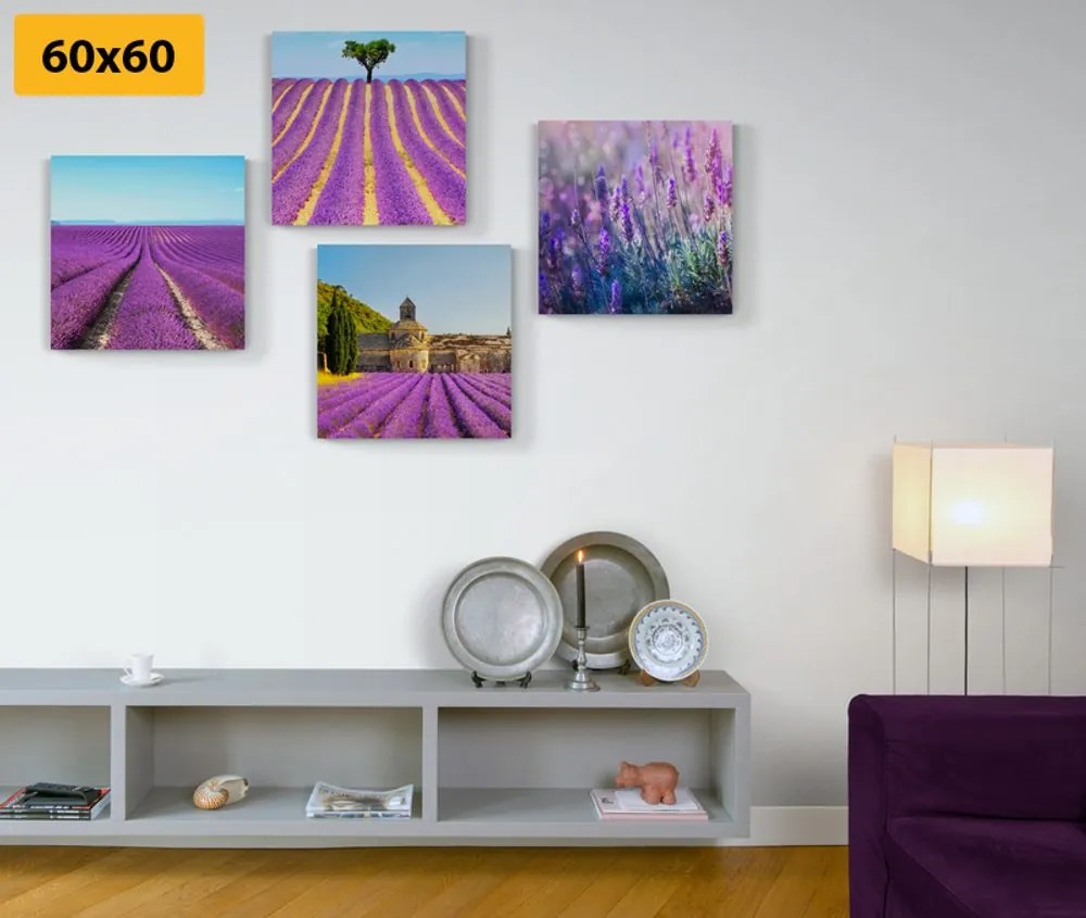 Set obrazov levanduľové pole Varianta: 4x 40x40