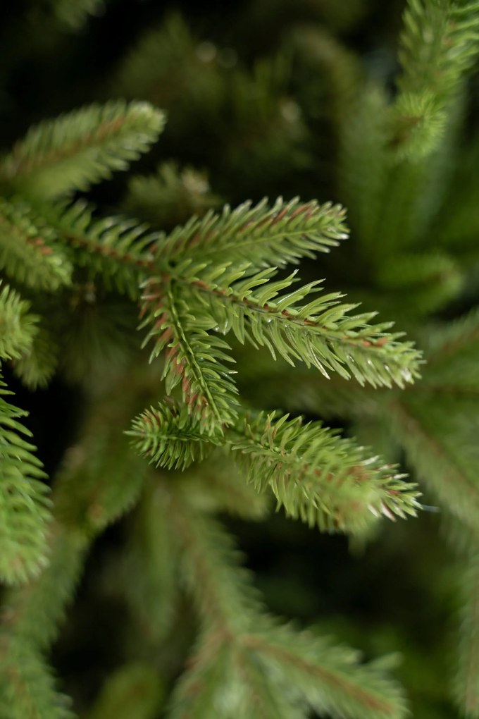 Limpol Vianočný stromček Jedľa Exclusive – 170 cm