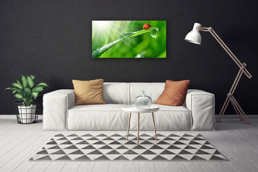 Obraz na plátne Tráva lienka príroda 125x50 cm