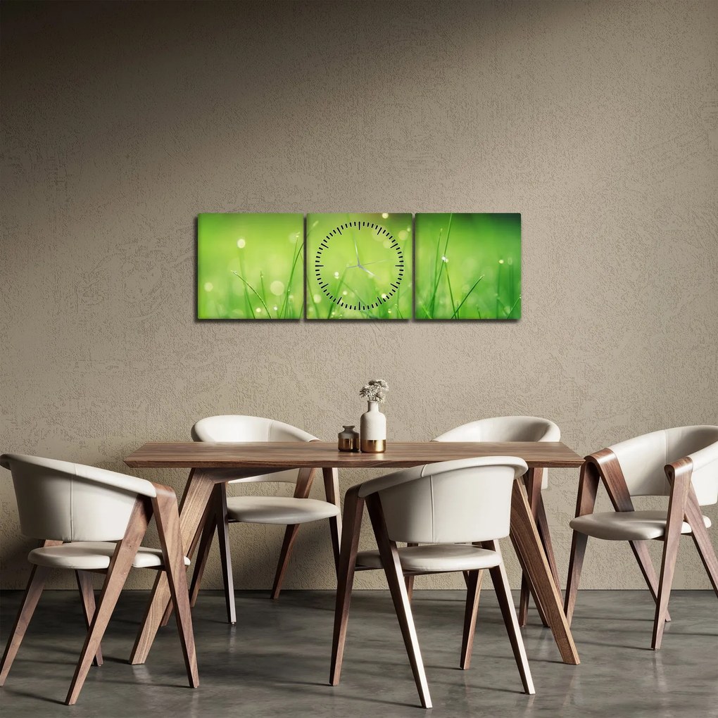 Obraz - rosa na tráve (s hodinami) (90x30 cm)