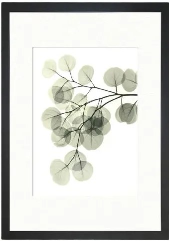 Obraz Tablo Center Leafy, 24 × 29 cm