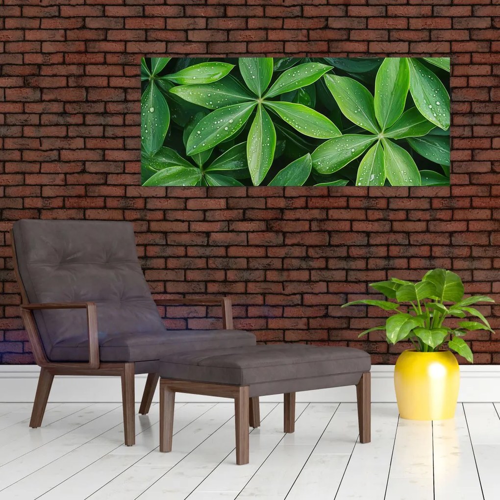 Obraz - Listy s kvapkami rosy (120x50 cm)