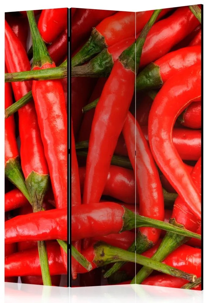 Artgeist Paraván - chili pepper - background [Room Dividers]