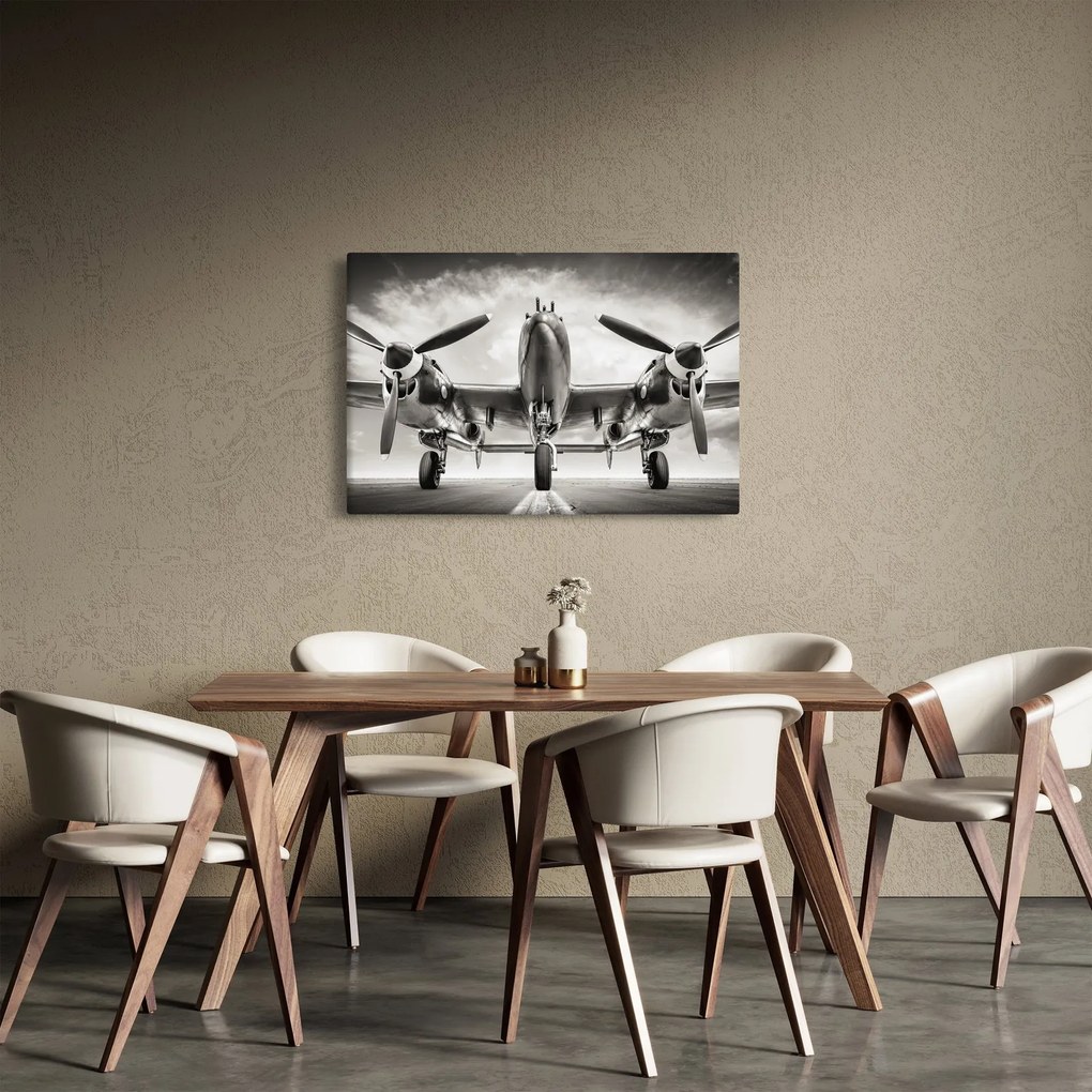 Obraz - Warbird (90x60 cm)