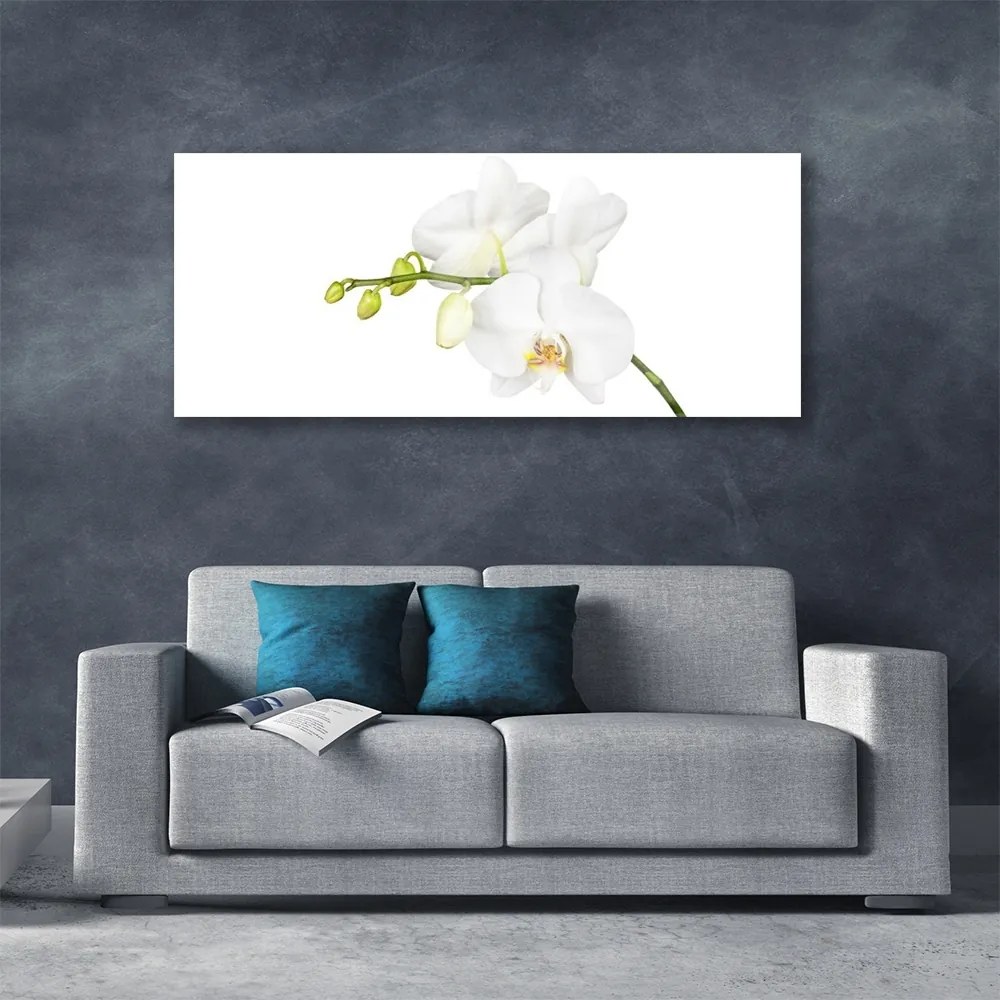 Obraz plexi Orchidea kvety príroda 125x50 cm