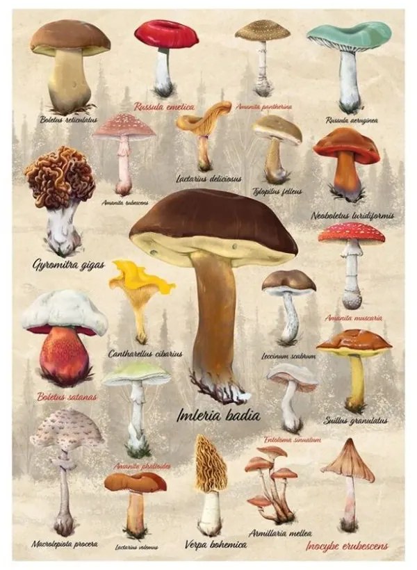 Dino Puzzle Hubová koláž 1000 dielov