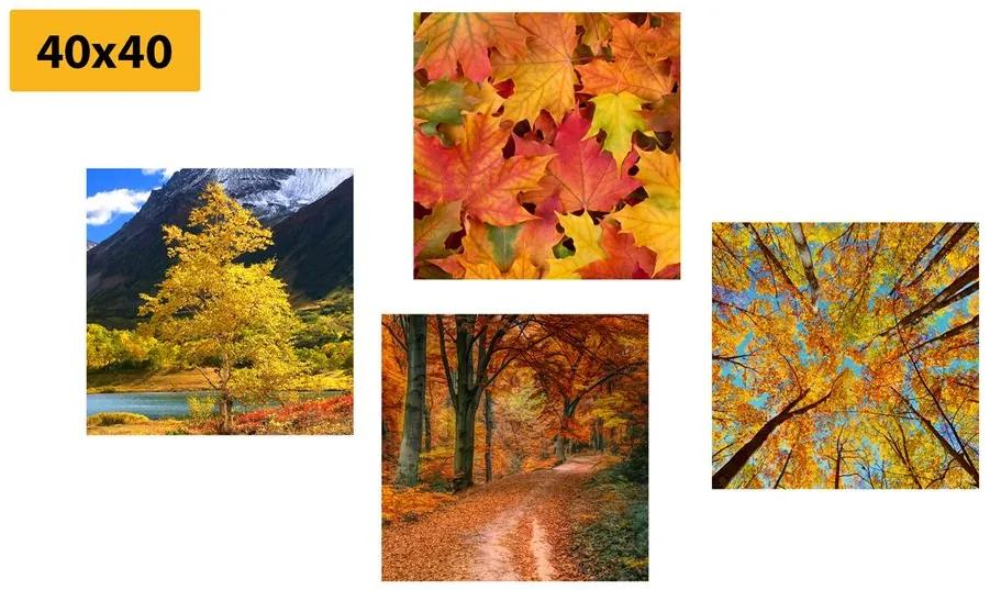 Set obrazov jesenná príroda v nádherných farbách Varianta: 4x 40x40