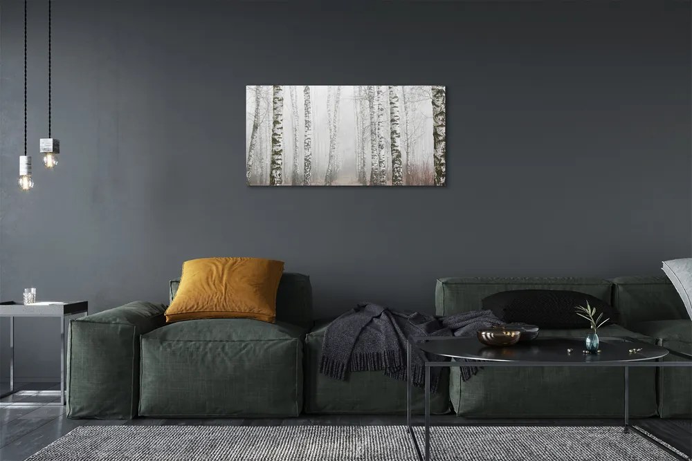 Obraz canvas hmla breza 125x50 cm