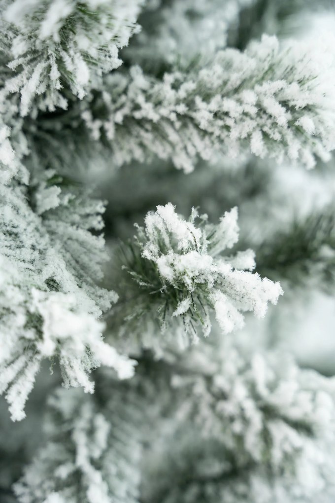 Limpol Vianočný stromček – zasnežená jedľa Gumis Výška stromčeka: 120 cm