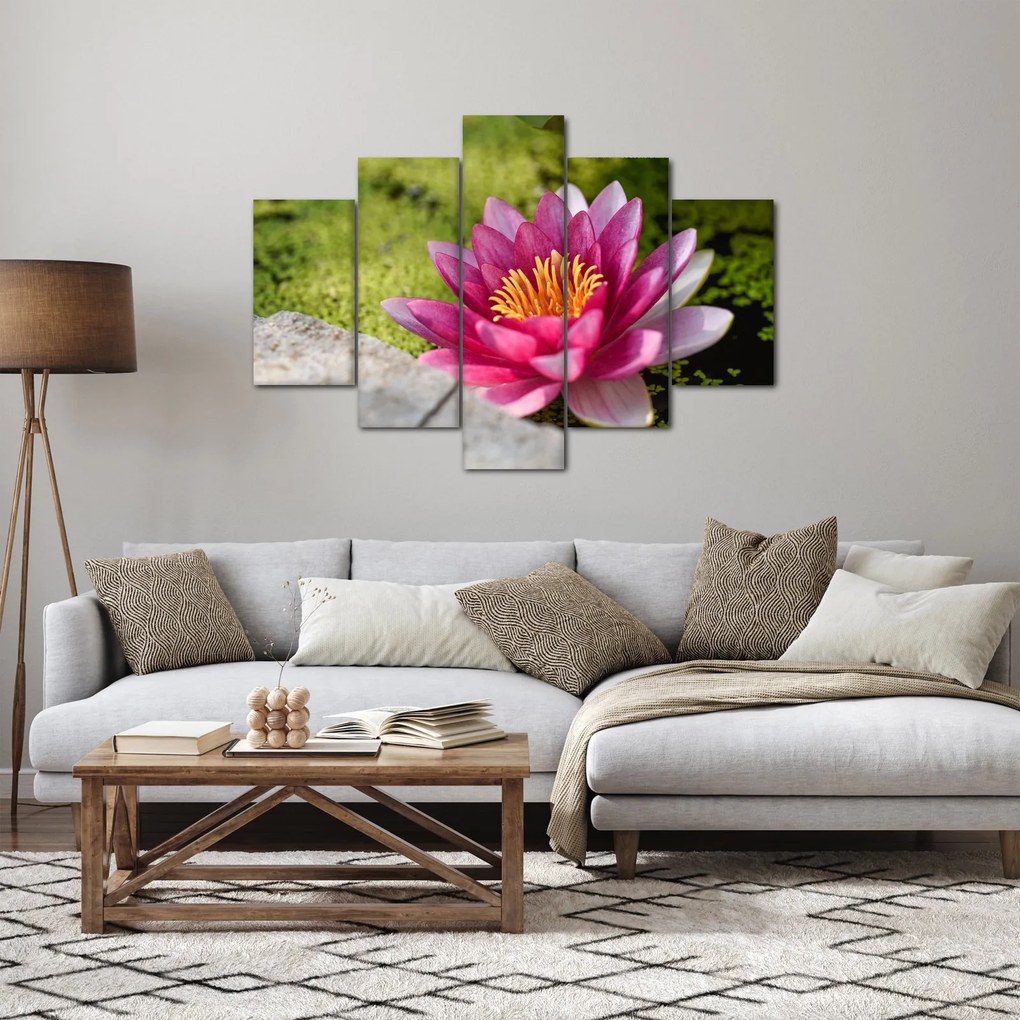 Obraz - Lekno (150x105 cm)