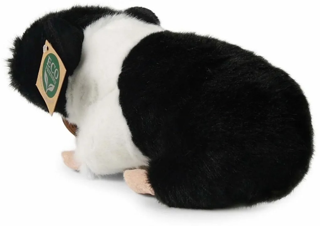 Rappa Plyšové morča 23 cm ECO-FRIENDLY