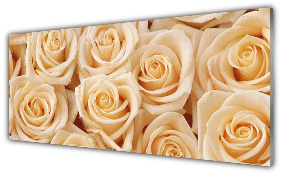 Obraz na akrylátovom skle Ruže kvety rastlina 125x50 cm