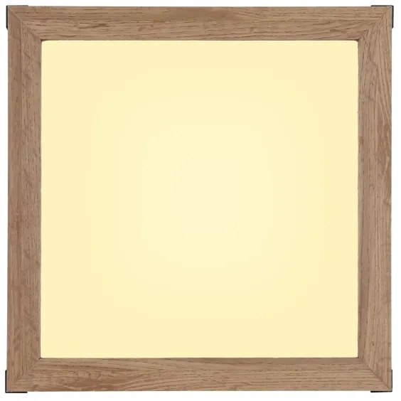 Globo 41589D1 - LED Stropné svietidlo CARLA LED/12W/230V 30x30 cm