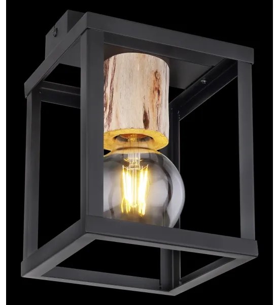 Globo 15476D - Stropné svietidlo HAGAR 1xE27/60W/230V