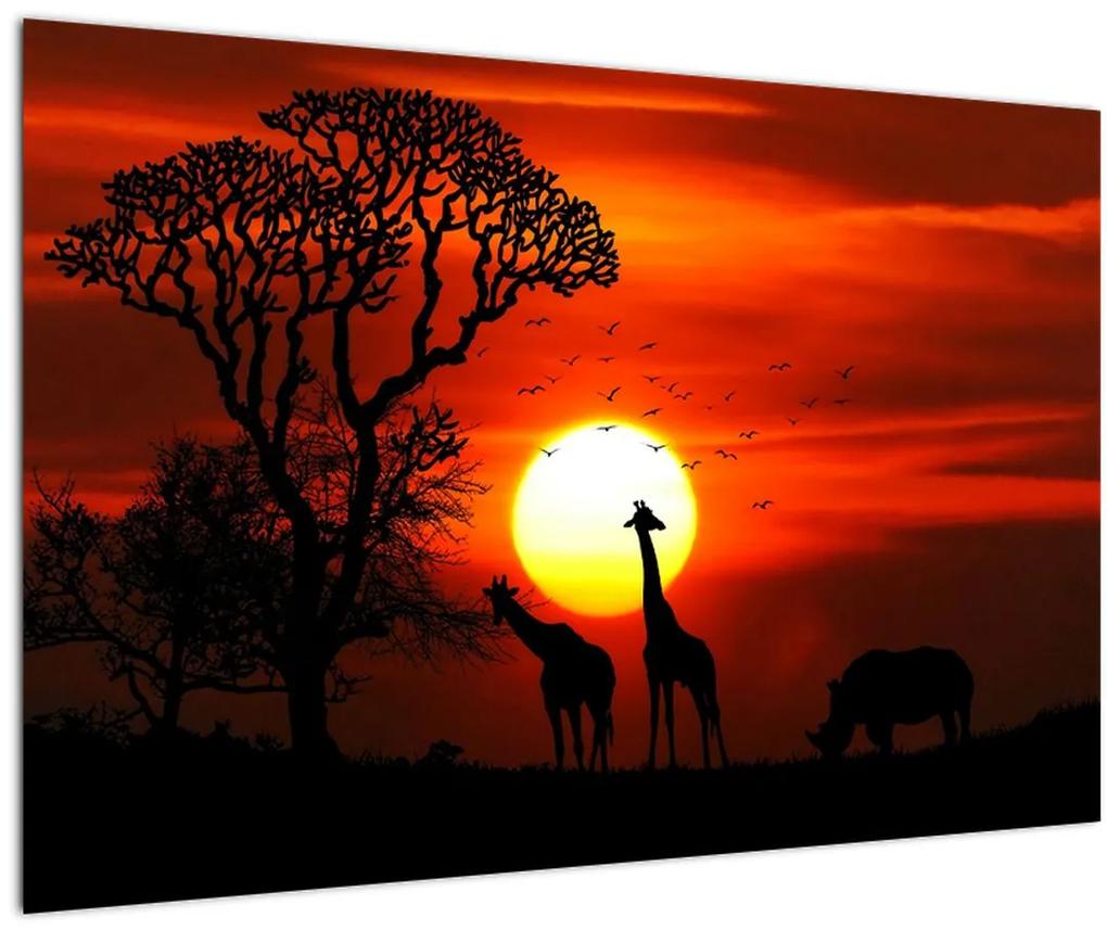 Obraz - Siluety zvierat pri západe slnka (90x60 cm)