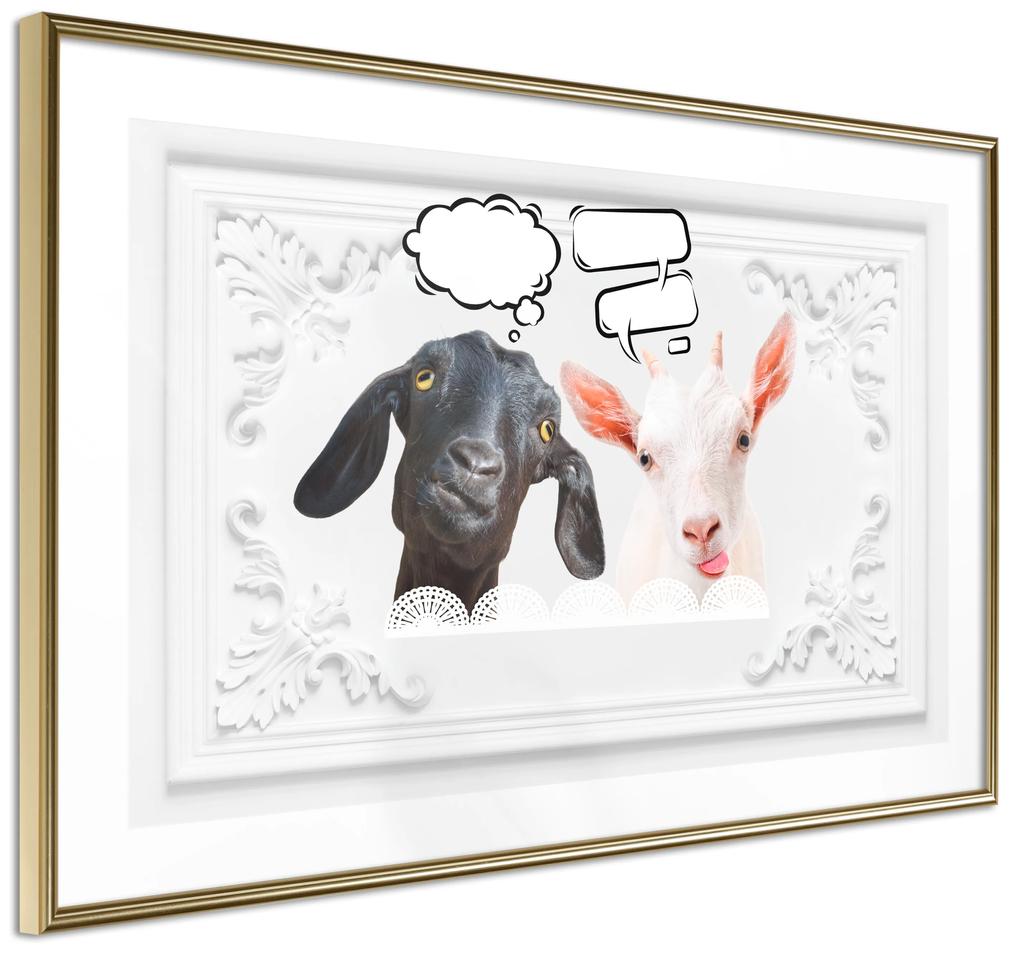 Artgeist Plagát - Funny Goats [Poster] Veľkosť: 30x20, Verzia: Čierny rám s passe-partout