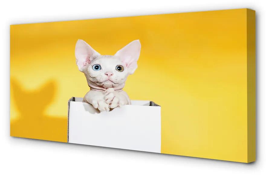 Obraz na plátne sediaci mačka 120x60 cm