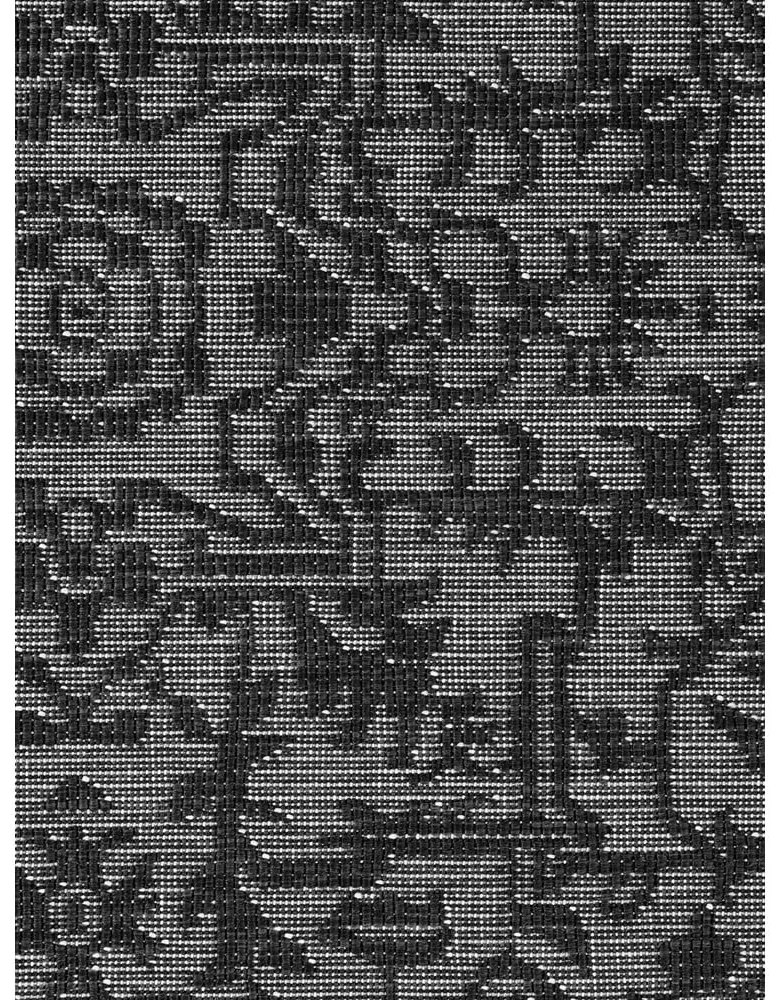 Čierno-biely vnútorný a vonkajší koberec 200x290 cm Duet Kona – NORTHRUGS