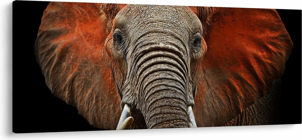 Obraz - Slony z Tsavo (120x50 cm)