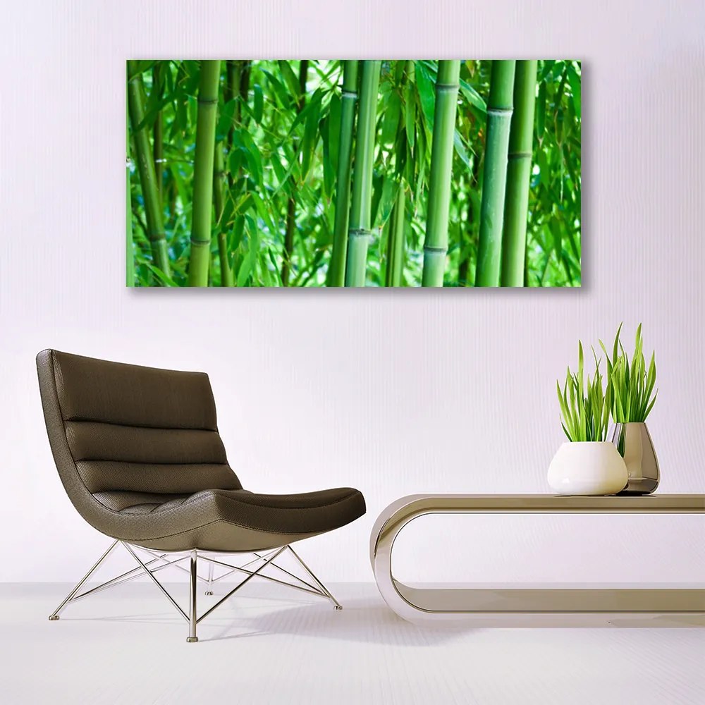 Obraz na akrylátovom skle Bambus stonka rastlina 120x60 cm