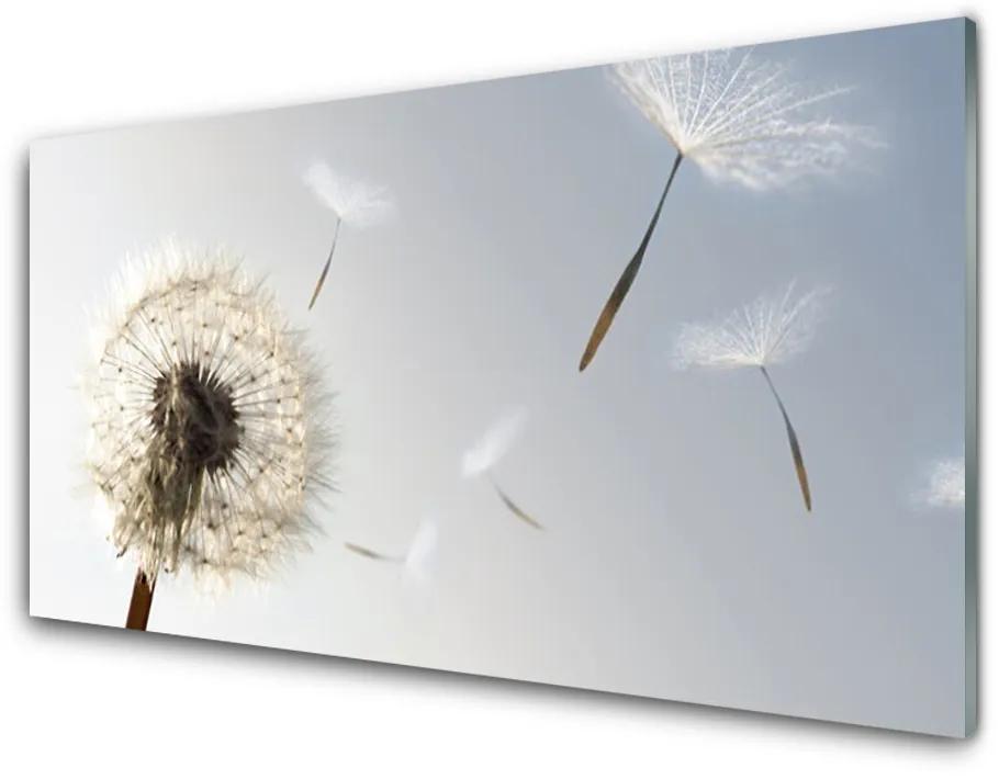 Obraz plexi Púpava kvety príroda 125x50 cm