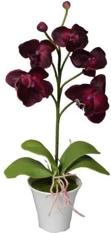 Umelá Orchidea v kvetináči tmavočervená, 35 cm