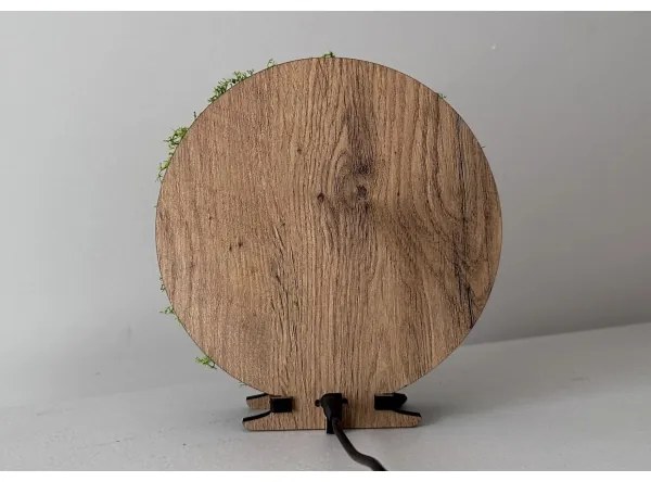 Li-Go 23622/DUB2 - Stmievateľná LED stolová dekorácia LED/12W/230V 20x22 cm dub