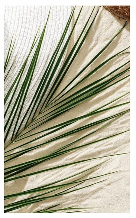 Plagát s paspartou letné zátišie - 40x60 silver