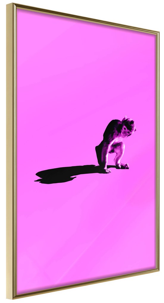 Artgeist Plagát - Little Monkey [Poster] Veľkosť: 20x30, Verzia: Zlatý rám s passe-partout