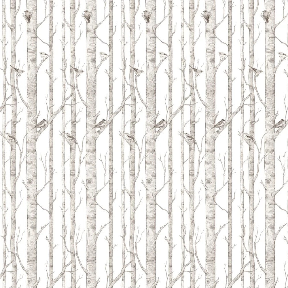 Tapeta brezový les 280x50 cm