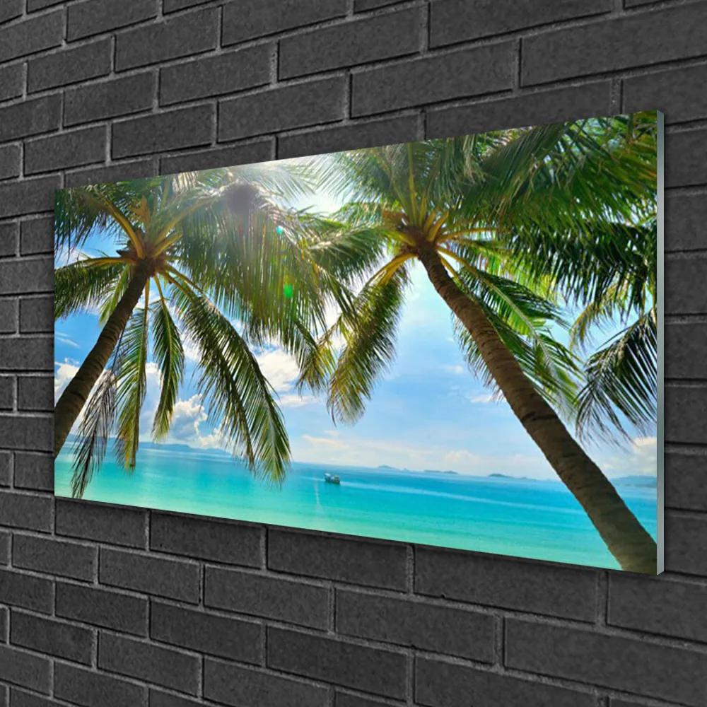 Skleneny obraz Palma strom more krajina 100x50 cm