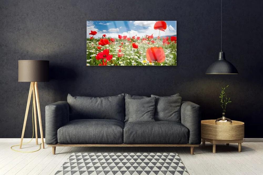 Skleneny obraz Lúka kvety príroda 140x70 cm