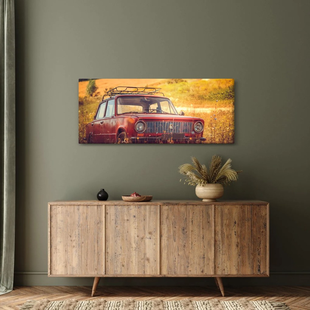 Obraz auta v poli (120x50 cm)