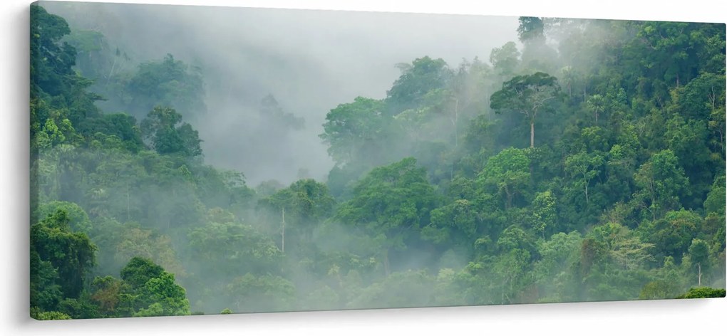 Obraz - Ranná hmla (120x50 cm)