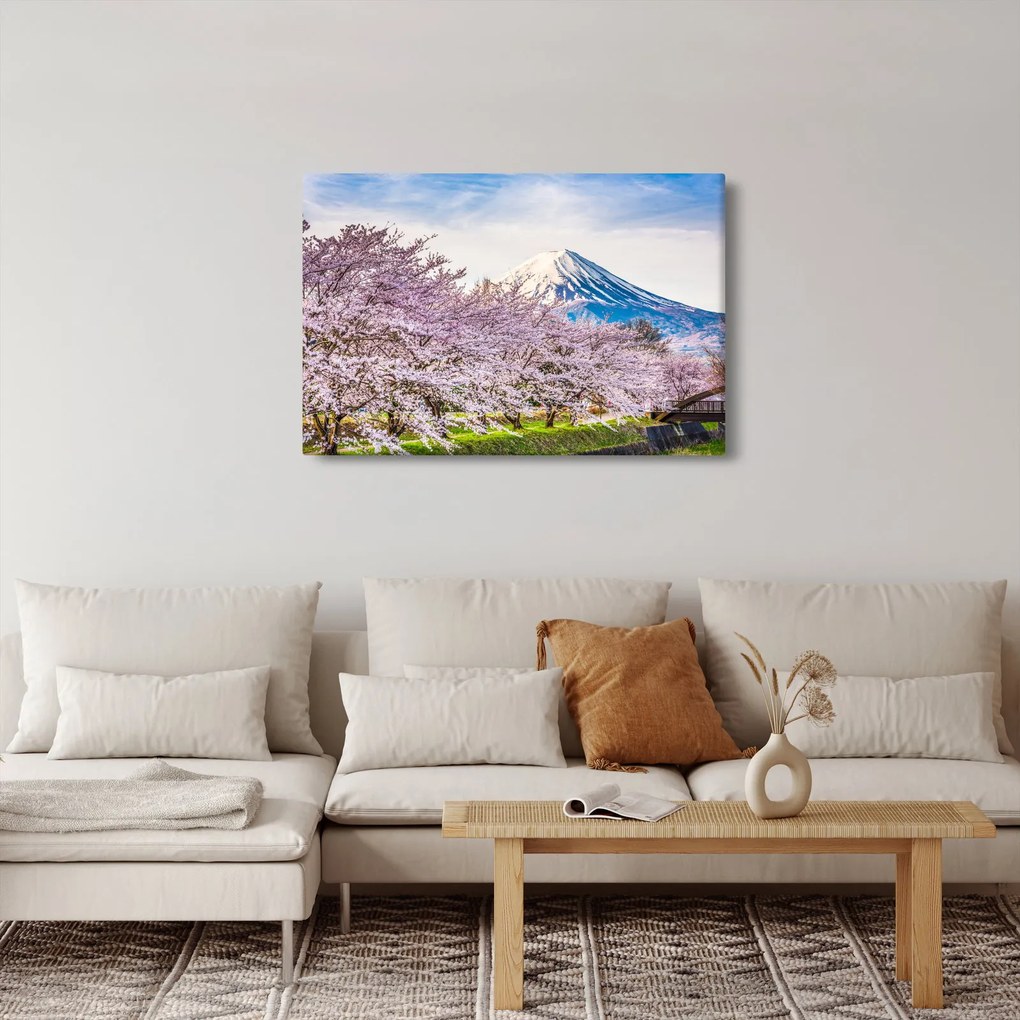 Obraz - Japonsko na jar (90x60 cm)