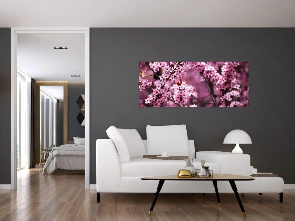 Obraz - Ružová sakura (120x50 cm)