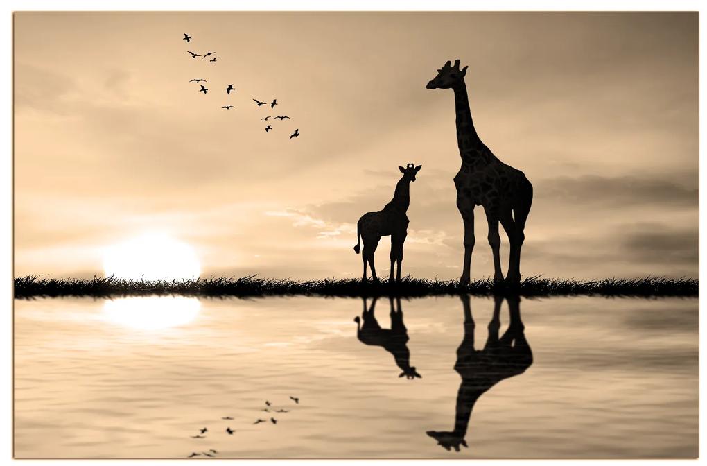 Obraz na plátne - Žirafy silueta 1919FA (60x40 cm)